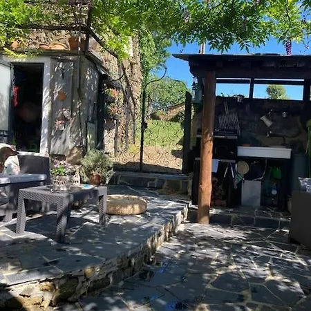 Holiday home Casinha Serabigoes Passadicos Paiva Arouca