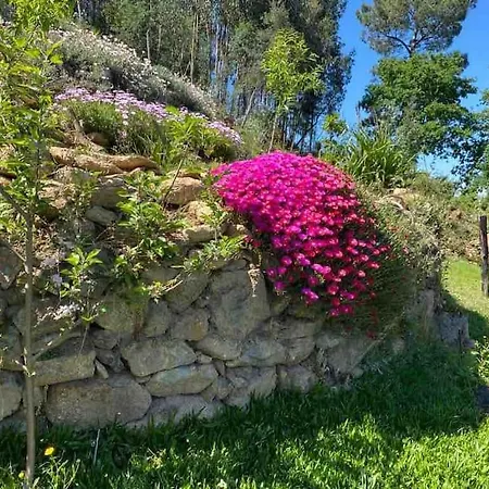 Casinha Serabigoes Passadicos Paiva 阿鲁卡