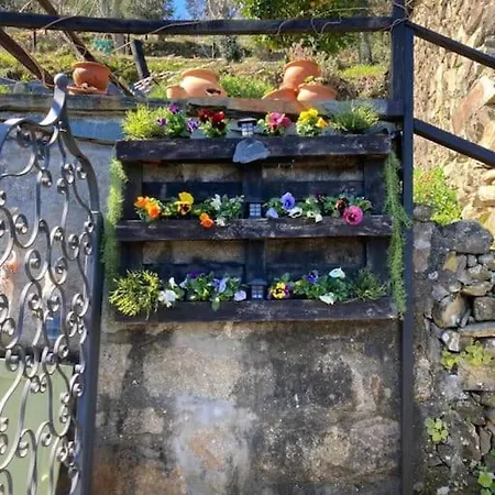 Σπίτι διακοπών Casinha Serabigoes Passadicos Paiva *