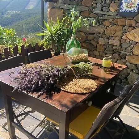 Holiday home Casinha Serabigoes Passadicos Paiva Arouca