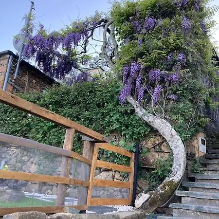 Holiday home Casinha Serabigoes Passadicos Paiva