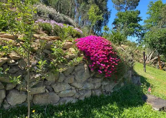 Casinha Serabigoes Passadicos Paiva Arouca