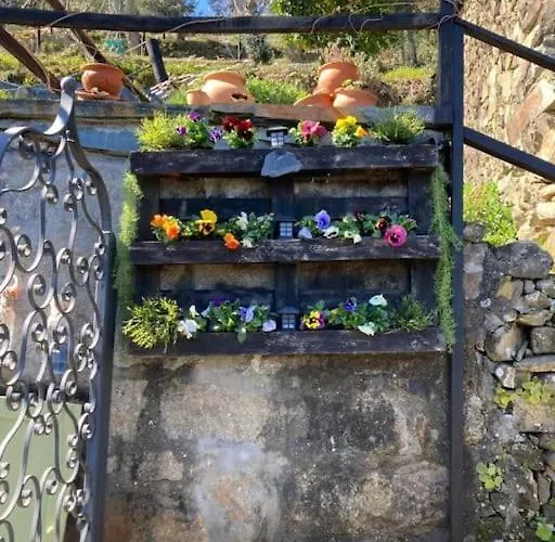 בית נופש Casinha Serabigoes Passadicos Paiva *