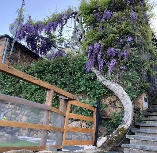 Ferienhaus Casinha Serabigoes Passadicos Paiva